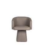 Dining Chair DC101 front view on white background